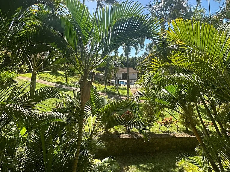 3788 Honoapiilani Hwy — Photo 11