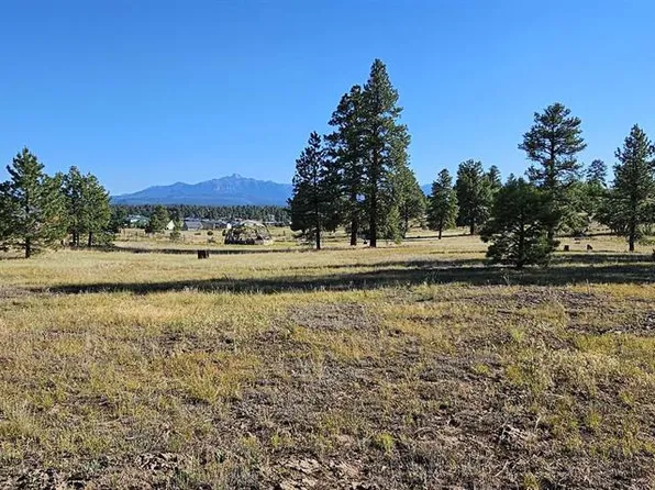 1570 Cool Pines, Pagosa Springs, CO 81147