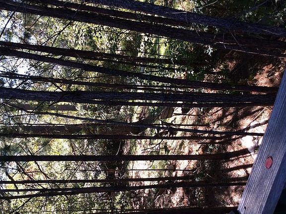 view from upstairs apt.