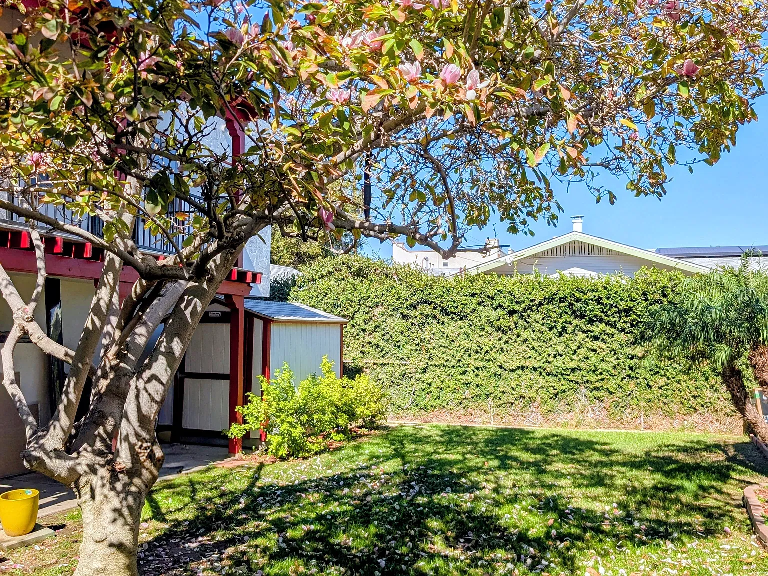 817 Coronado Ave — Photo 4