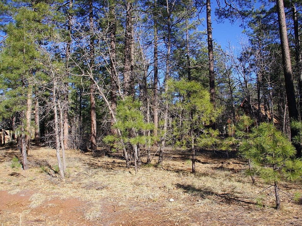 2nd image of 4068 Bridle Path Cir