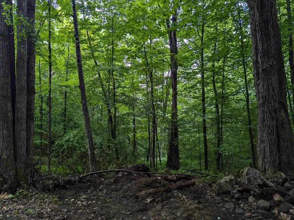 0 Dover Road Lot 4, Newfane, VT 05351