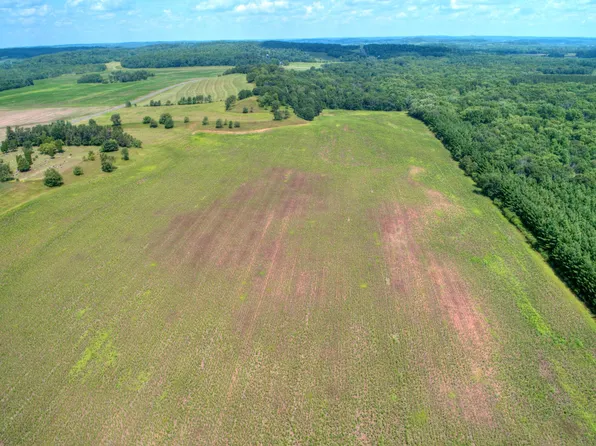 1XX County Rd, Boyceville, WI 54725