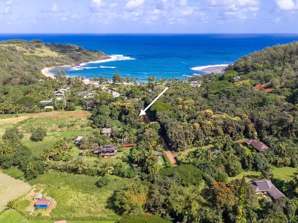 Moloaa Rd, Anahola, HI 96703