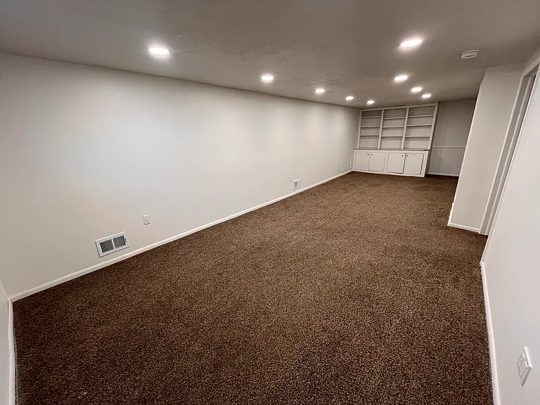 Basement living room built-ins