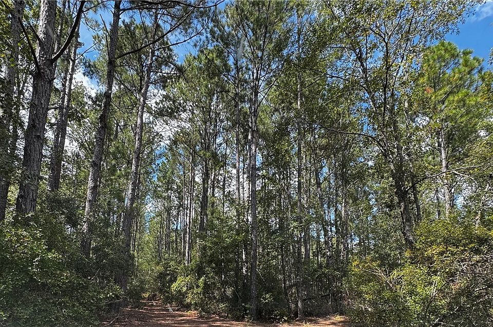 2nd image of 0 Hillside Dr - 7.09 acres Drive