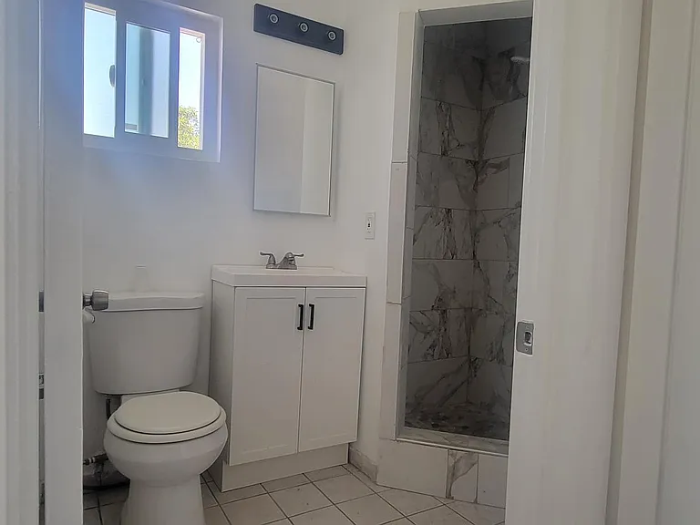 Bath view with shower