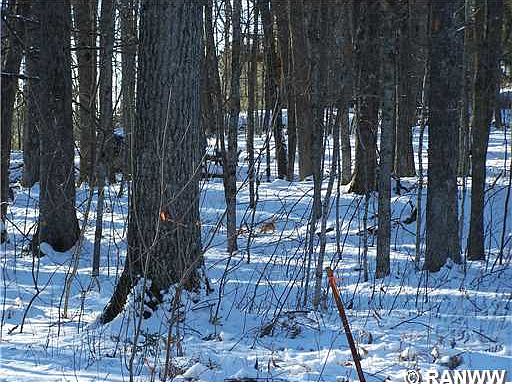 1st image of Lot 66 Morningside Road