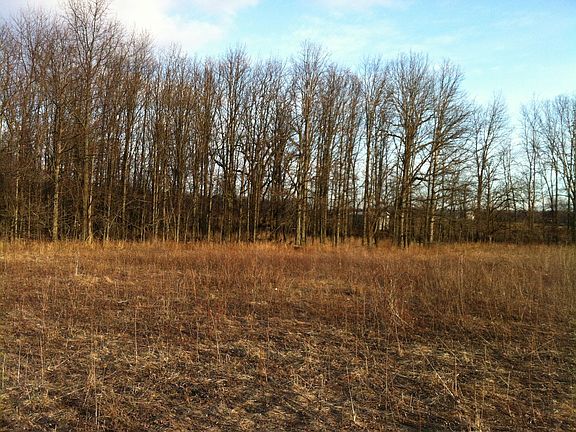 view N/E from fenceline