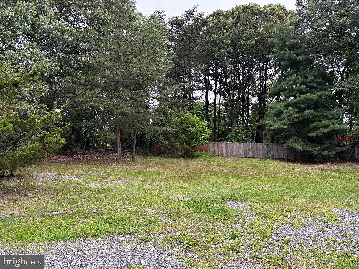 3 bed, 1.0 bath, 1272 sqft, $2,200 — Photo 3