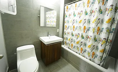 Rented by City Vista Inc