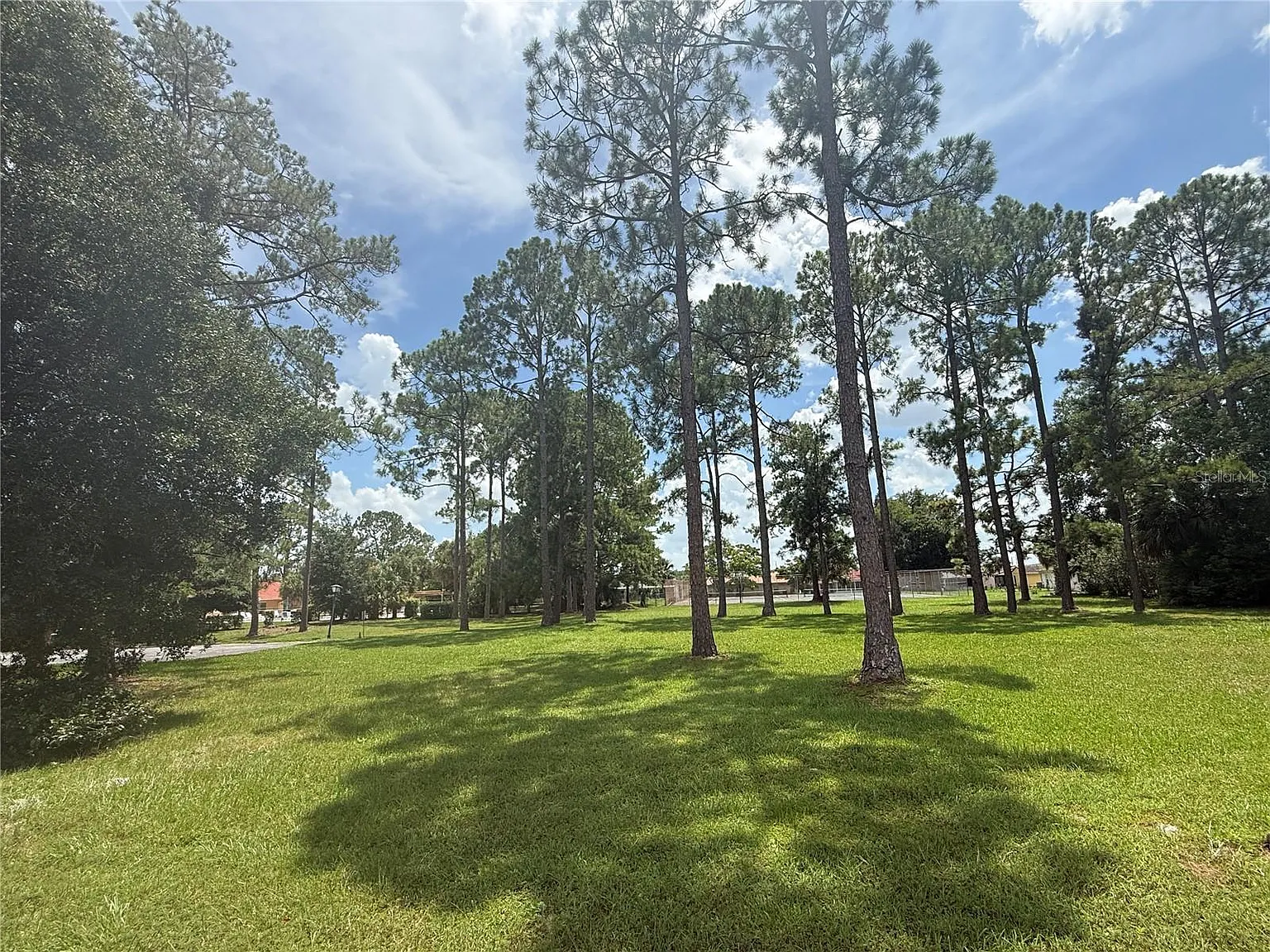 3 bed, 1554 sqft, $2,200 — Photo 4
