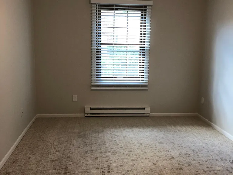 Primary Master Bedroom - New carpeting, new window blinds, new ceiling fan/light