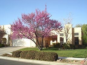 5th image of 7512 Don Gaspar Dr NE
