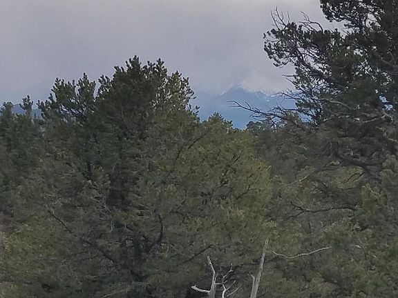 3rd image of 415 Kirk Dr