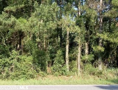 0 Brighton Ave Lot 24, Elberta, AL, 36530