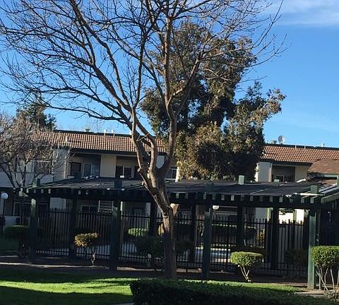 View of the swimming pool from kitchen window