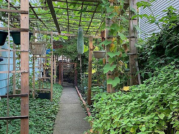 Side Garden