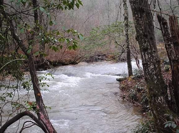 Looking up the creek.