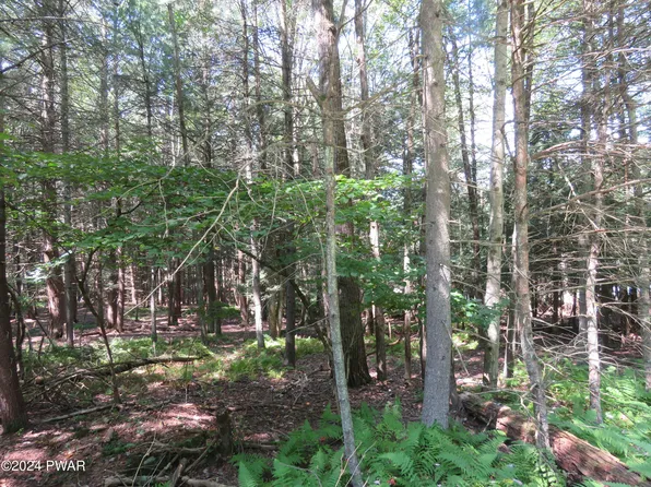 42 Melissa Ln, Hawley, PA 18428