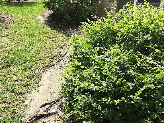 5th image of 8039 San Vista Cir