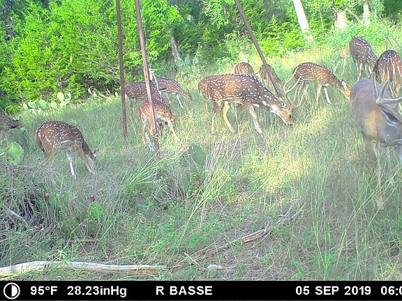 5th image of 173 Basse Ln