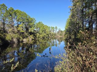 493 Domenico Cir, Saint Augustine, FL 32086