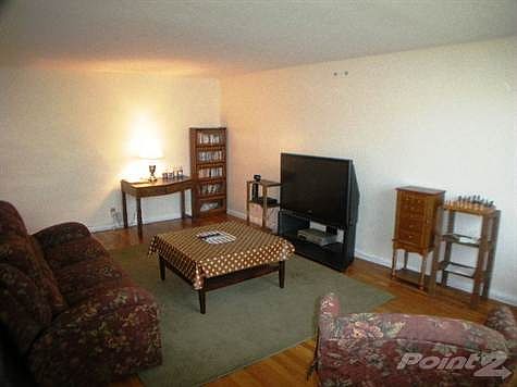 Large Living Room