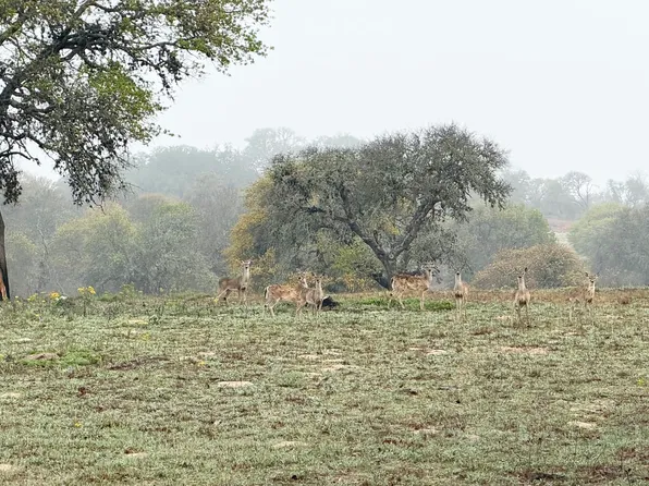 534 Whitetail dr LOT 8A, Adkins, TX 78101