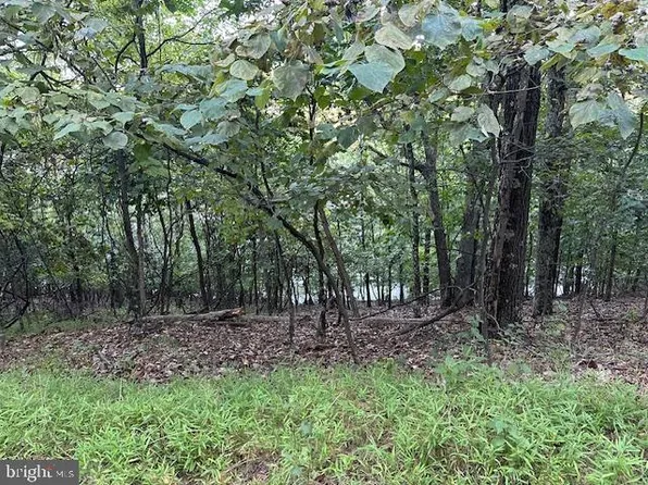 132 Forest Dr, Cross Junction, VA 22625