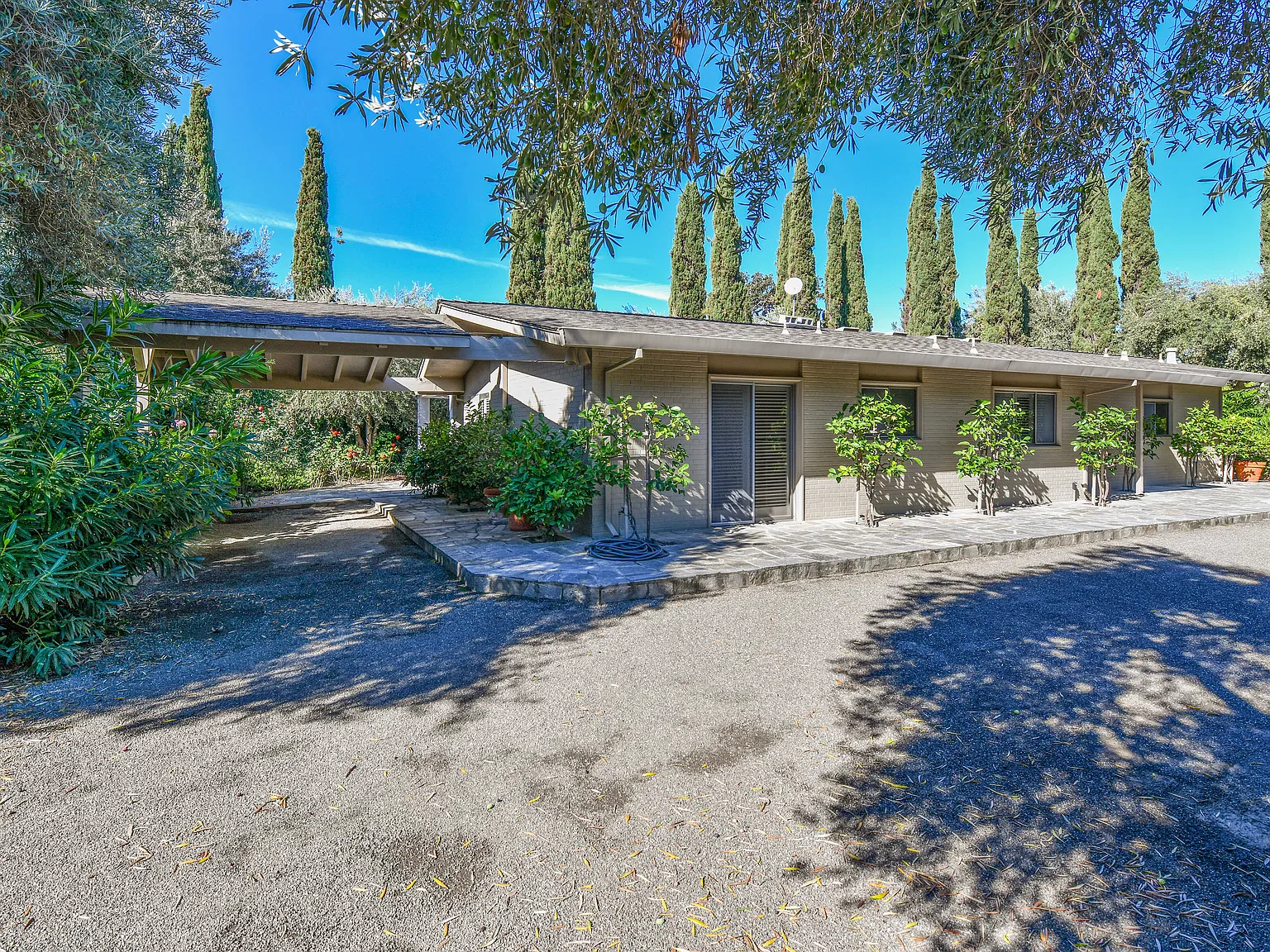 2 bed, $4,500 — Photo 3