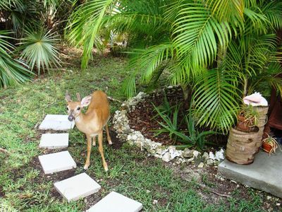29164 Tulip Ln, Big Pine Key, FL, 33043