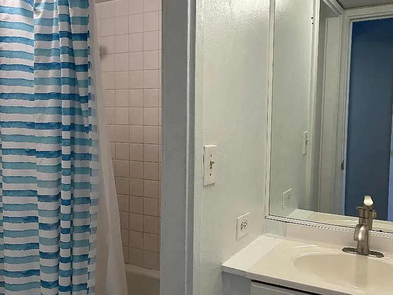 Bath/shower and Vanity