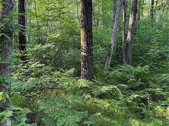 4th image of 0 N Mack Lake Road