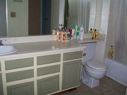 Jack and Jill Bathroom