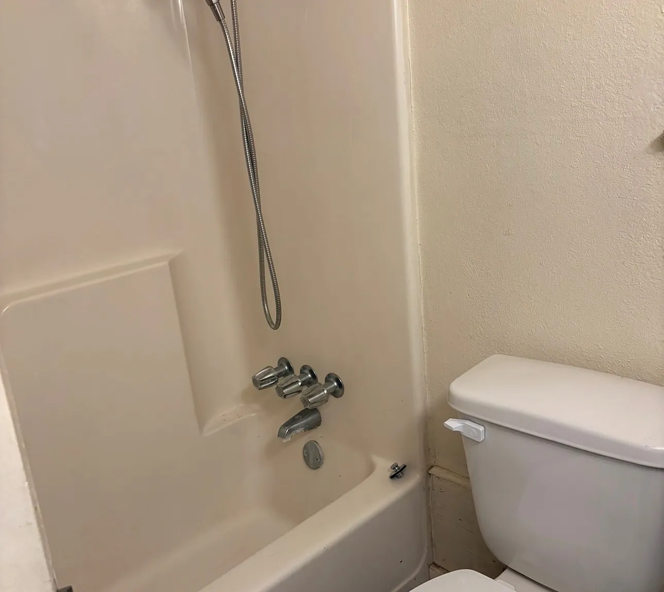1 bed, 900 sqft, $1,100 — Photo 3