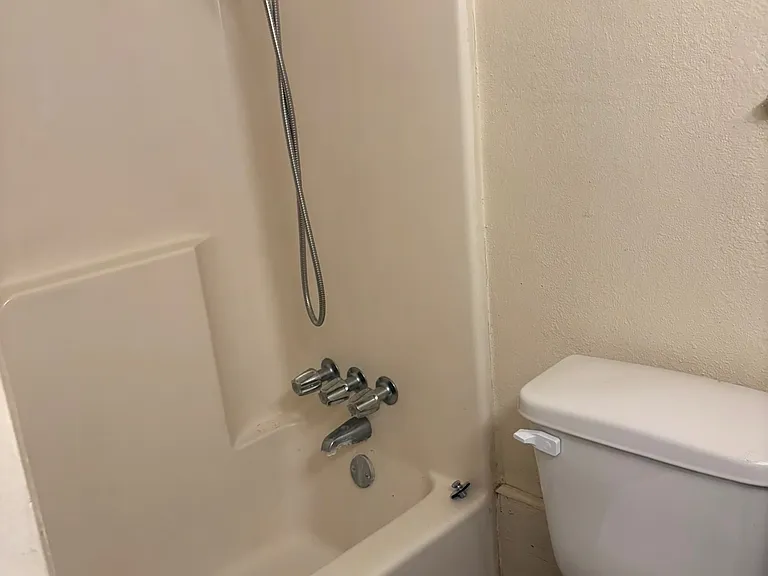 1005 Chestnut St #1 — Photo 3