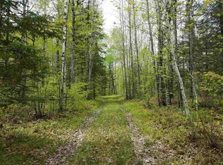 N2360 Forks Rd, Merrill, WI 54452