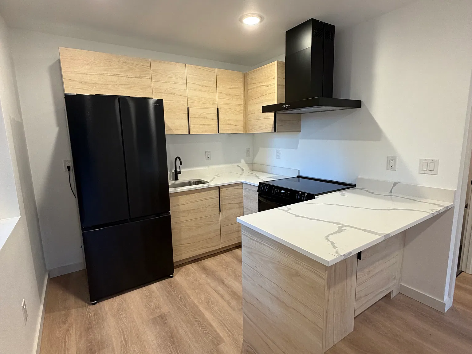 1 bed, 550 sqft, $1,600 — Photo 3