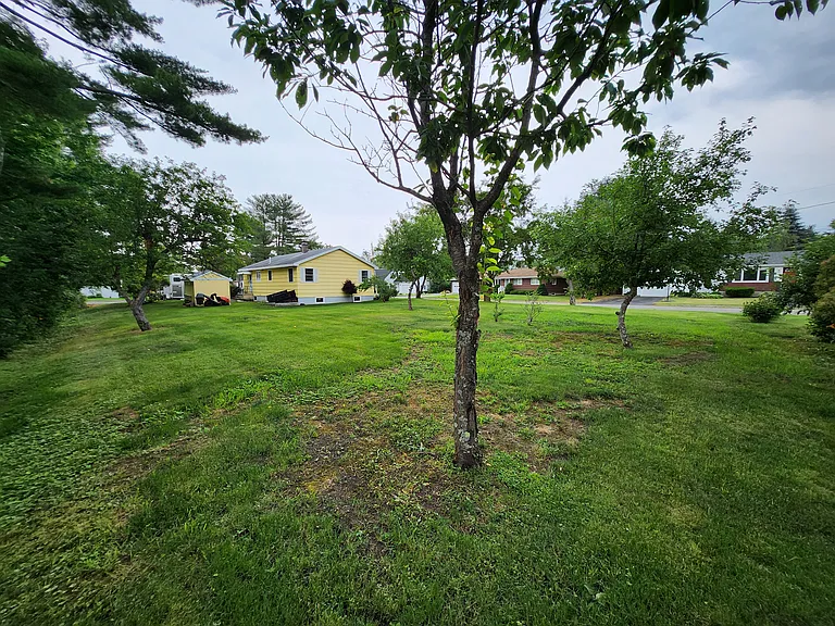 Yard