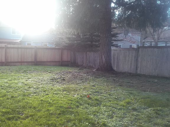 Large fenced back yard