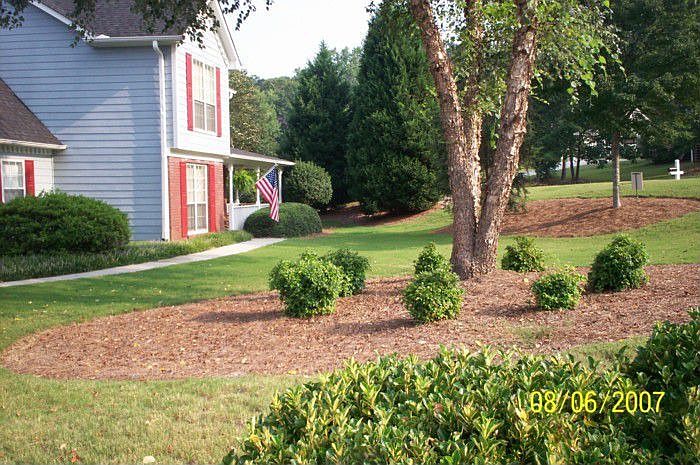 Beautiful Landscaped Yard!