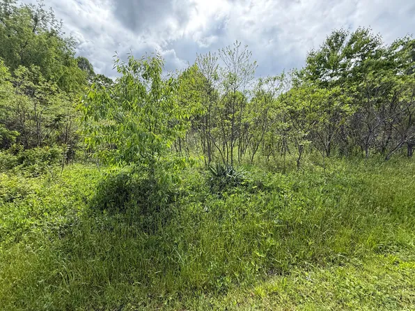 9999 Springs Branch Dr, London, KY 40744