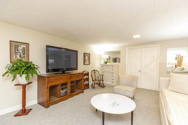 Lower level tv area