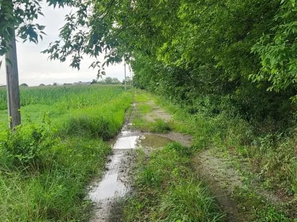 8479 SE 30th St #30, Baxter Springs, KS 66713