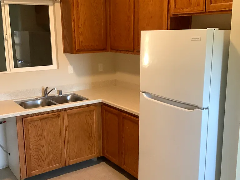 Kitchen with refrigerator provided by owner