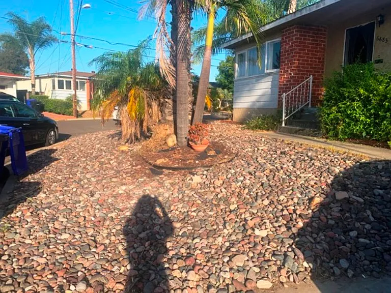 6683 Julie St — Photo 30