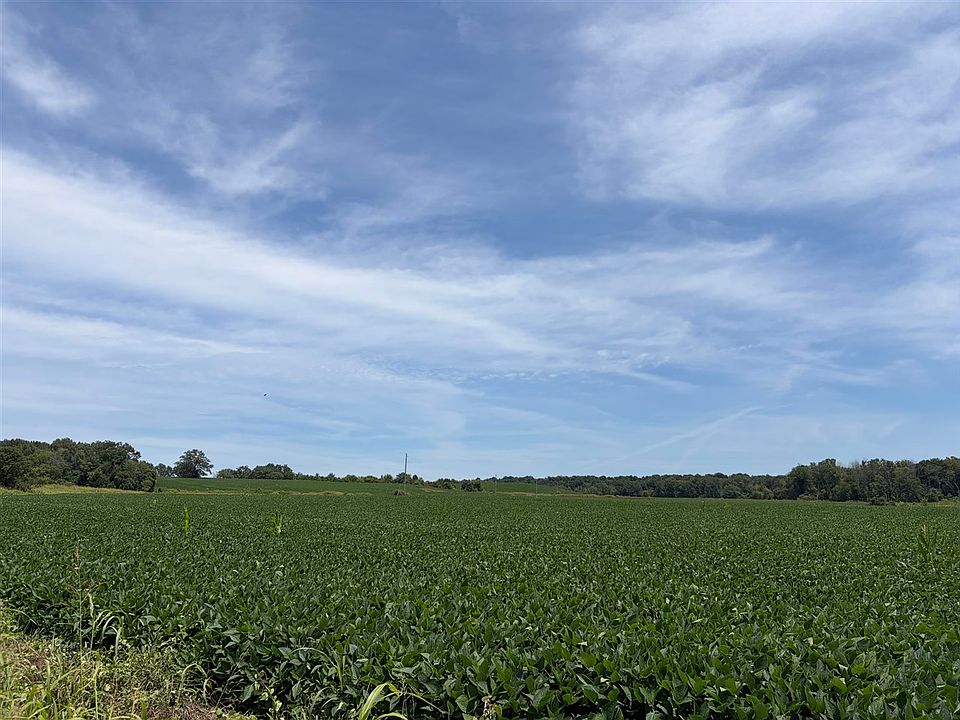 2nd image of Tally Rd