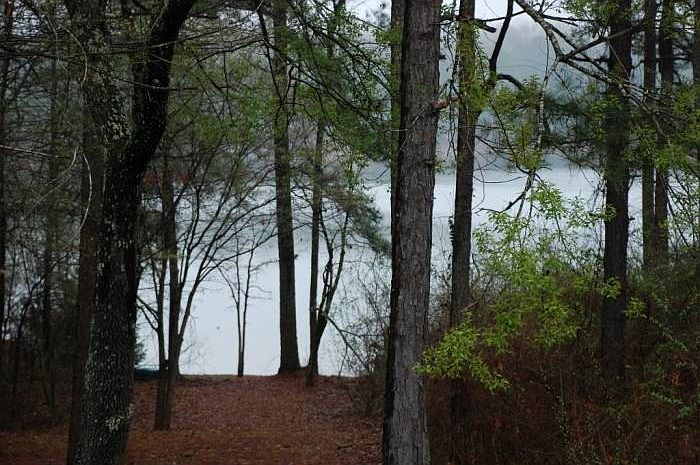 1st image of 23 County Road 3563