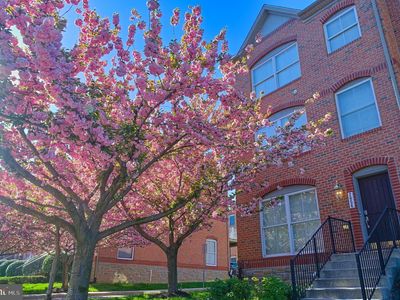 2056 Clipper Park Rd, Baltimore, MD, 21211